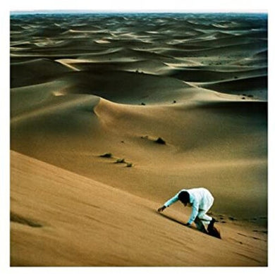 Baxter Dury: Prince Of Tears (Vinyl LP)