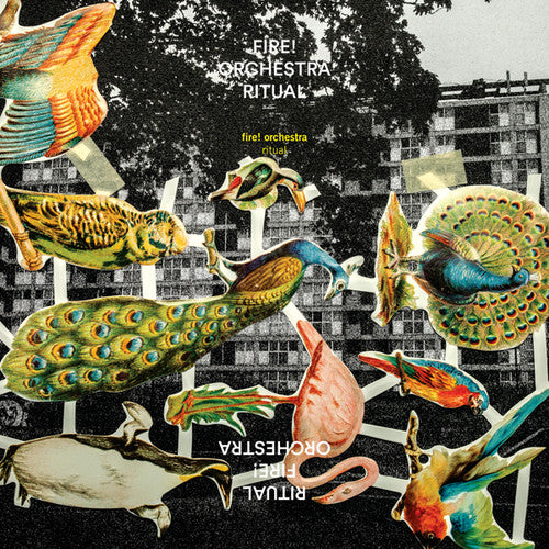 Fire Orchestra: Ritual (Vinyl LP)