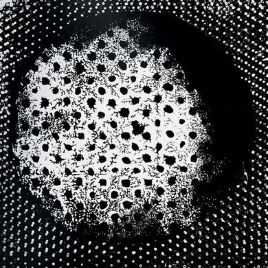 Biosphere: Patashnik (Vinyl LP)