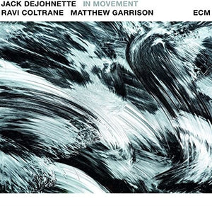 Dejohnette, Jack / Coltrane, Ravi / Garrison, Matt: In Movement (Vinyl LP)