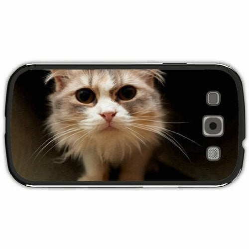 Pup: Dream Is Over (Vinyl LP)