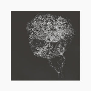 David Toop: Entities Inertias Faint Beings (Vinyl LP)