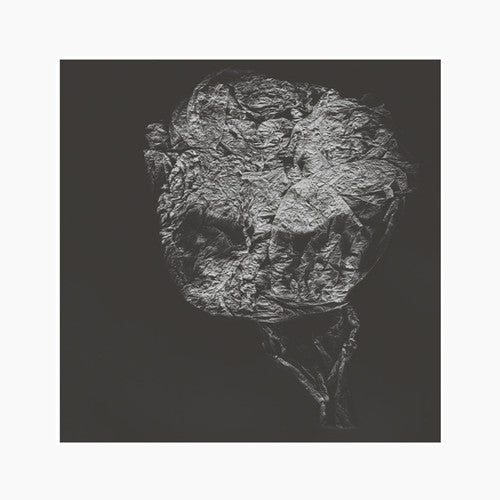 David Toop: Entities Inertias Faint Beings (Vinyl LP)