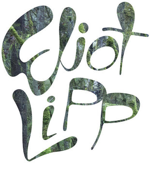 Lipp, Eliot: Come To Life (Vinyl LP)