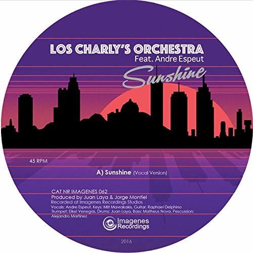 Los Charly's Orchestra: Sunshine (Vinyl LP)