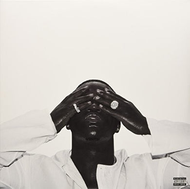 A$Ap Ferg: Always Strive And Prosper (Vinyl LP)