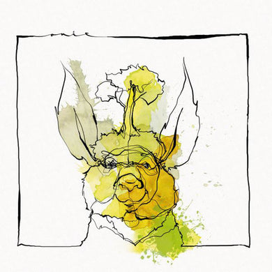 Acid Paul & Nico Stojan: Call Of The Valley (12-Inch Single)