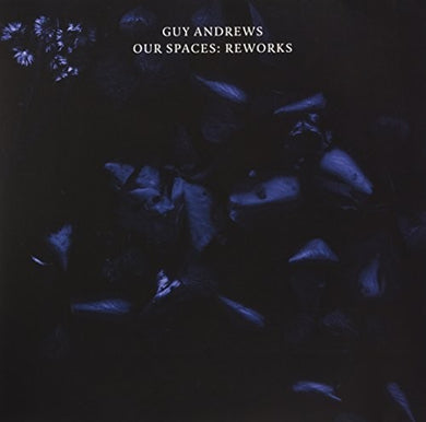 Andrews, Guy: Our Spaces: Reworks (12-Inch Single)
