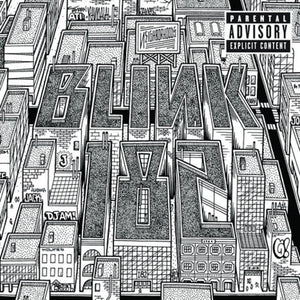Blink 182: Neighborhoods (Vinyl LP)