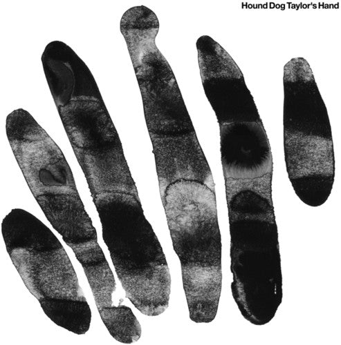 Hound Dog Taylor's Hand: Hound Dog Taylor's Hand (Vinyl LP)