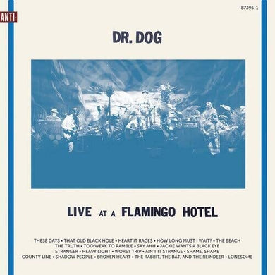 Dr Dog: Live At A Flamingo Hotel (Vinyl LP)