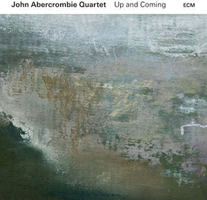 Abercrombie, John: Up And Coming (Vinyl LP)