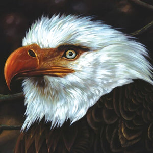 Mogwai: Hawk Is Howling (Vinyl LP)