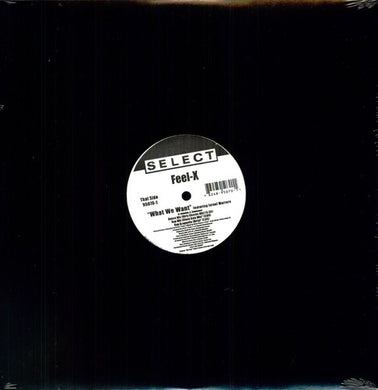 Feel-X: What We Want (12-Inch Single)