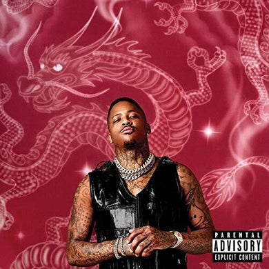 Yg: Stay Dangerous (Vinyl LP)