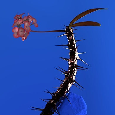 Flume: Skin Companion EP II (12-Inch Single)