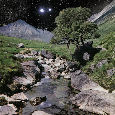 Beta Band: The Beta Band (Vinyl LP)