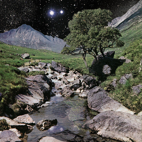Beta Band: The Beta Band (Vinyl LP)
