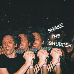 !!! (Chk Chk Chk): Shake The Shudder (Vinyl LP)
