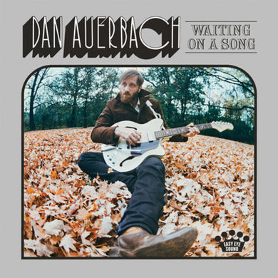 Auerbach, Dan: Waiting on a Song (Vinyl LP)