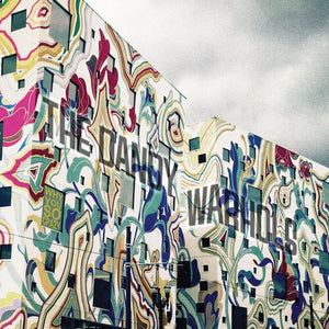 Dandy Warhols: Why You So Crazy (Vinyl LP)