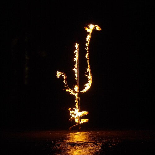 Demon Head: Hellfire Ocean Void (Vinyl LP)