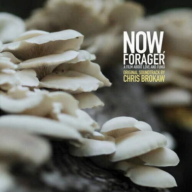 Brokaw, Chris: Now Forager (Original Soundtrack) (Vinyl LP)