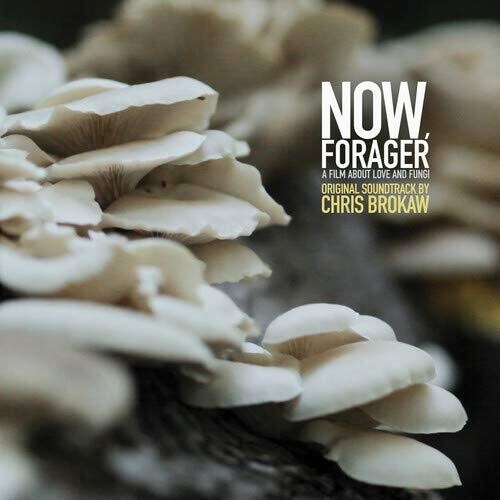 Brokaw, Chris: Now Forager (Original Soundtrack) (Vinyl LP)