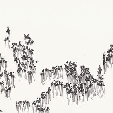 Wowflower: Balloons (Vinyl LP)