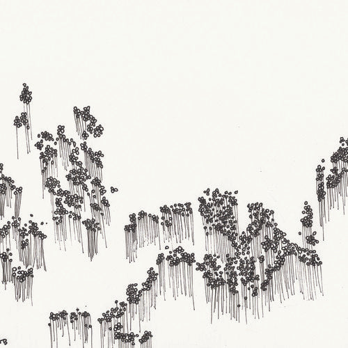 Wowflower: Balloons (Vinyl LP)