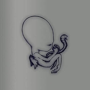 Sigur Ros: Agetis Byrjun - A Good Beginning (Vinyl LP)