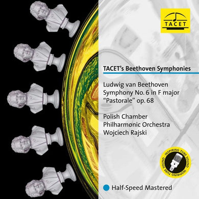 Beethoven / Polish Chamber Phil Orch / Rajski: Tacet's Beethoven Symphonies (Vinyl LP)