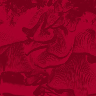 Abate, Maurizio: Live At Elastico (12-Inch Single)