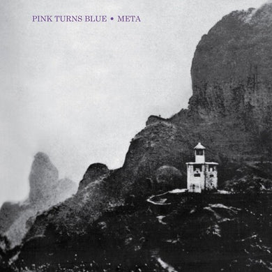 Pink Turns Blue: Meta (Indie Exclusive) (Vinyl LP)