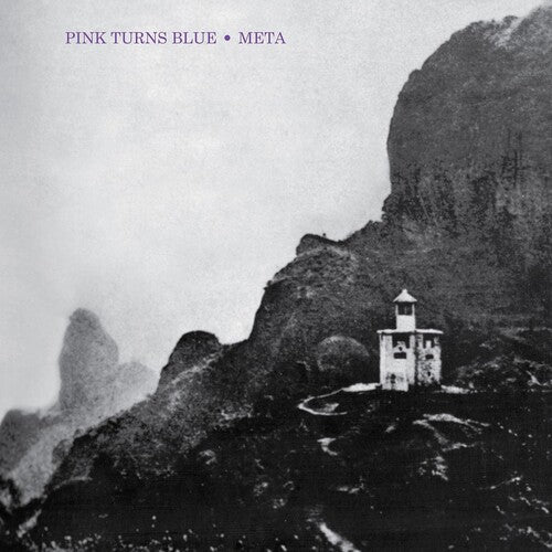 Pink Turns Blue: Meta (Indie Exclusive) (Vinyl LP)