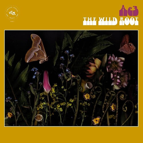 Ae3 (Alan Evans Trio): The Wild Root (Vinyl LP)