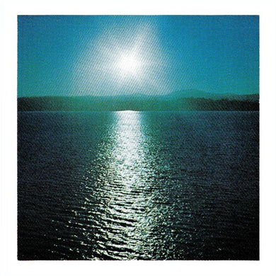 Joanna Brouk: The Space Between (Indie Exclusive) (Vinyl LP)