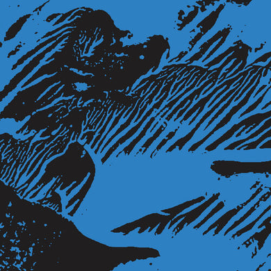 Deontic Miracle: Selections from 100 Models of Hegikan Roku (Vinyl LP)