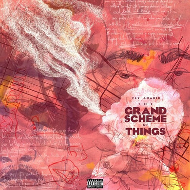 Fly Anakin: The Grand Scheme Of Things (Vinyl LP)