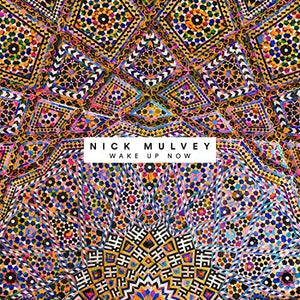 Nick Mulvey: Wake Up Now (Vinyl LP)