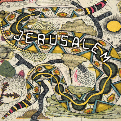 Steve Earle: Jerusalem (Vinyl LP)