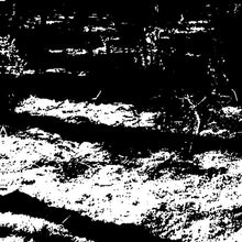 Von Grall: Transformation Is Conformal (12-Inch Single)