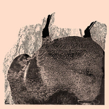Svarte Greiner: Knive (Vinyl LP)