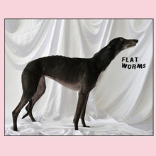 Flat Worms: Flat Worms (Vinyl LP)