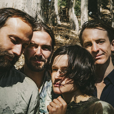 Big Thief: Two Hands (Vinyl LP)