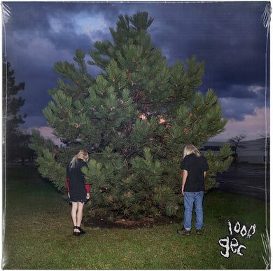100 Gecs: 1000 gecs (Vinyl LP)