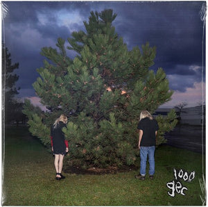 100 Gecs: 1000 gecs (Vinyl LP)
