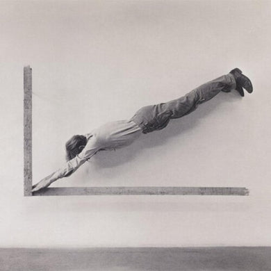 Shepherds: Insignificant Whip (Vinyl LP)