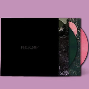Goodbye Dinosaur // A Playground For Sad Adults - Double EP VinylPackageby Phoxjaw (Vinyl Record)