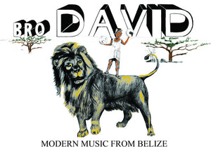 Bro David: Modern Music from Belize (Vinyl LP)